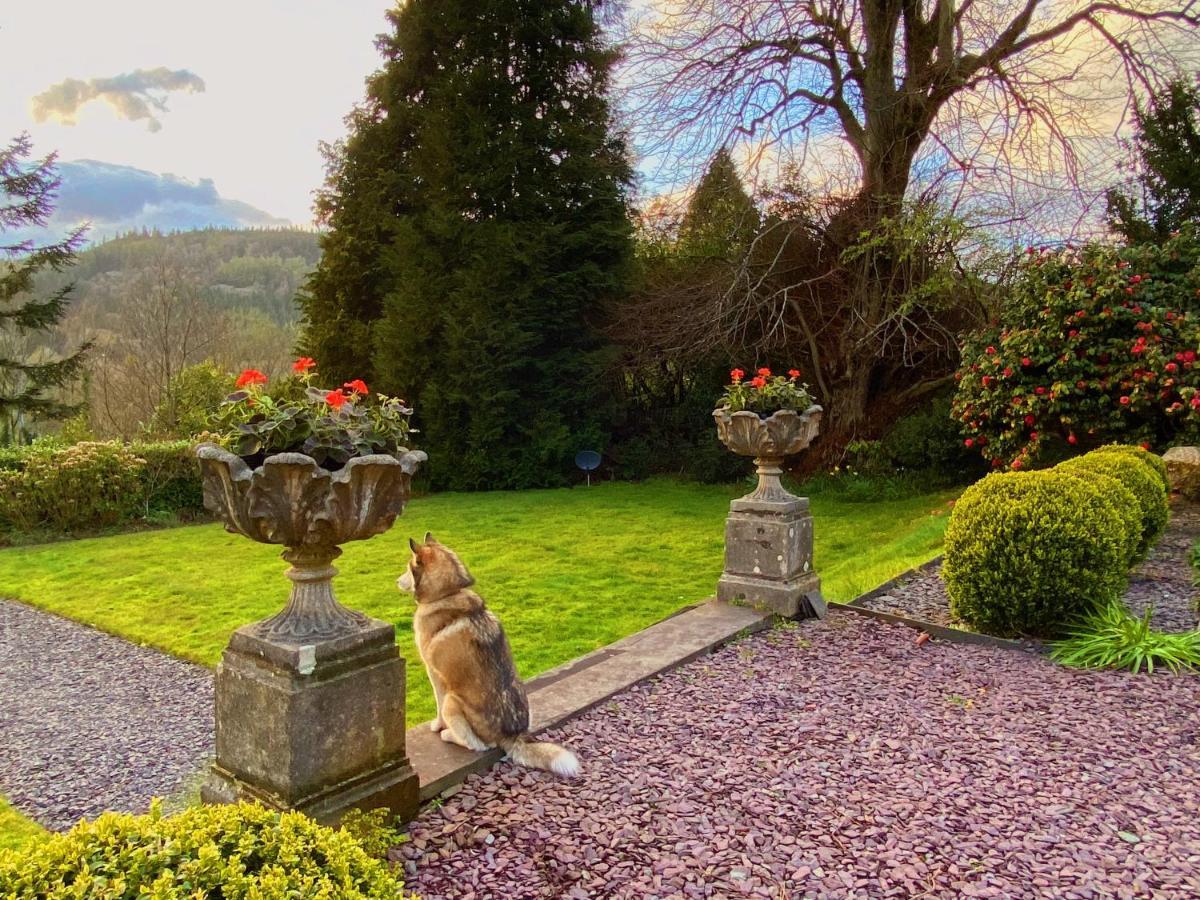 Tyn Y Fron 6 Bedroom House In Betws-Y-Coed Snowdonia المظهر الخارجي الصورة