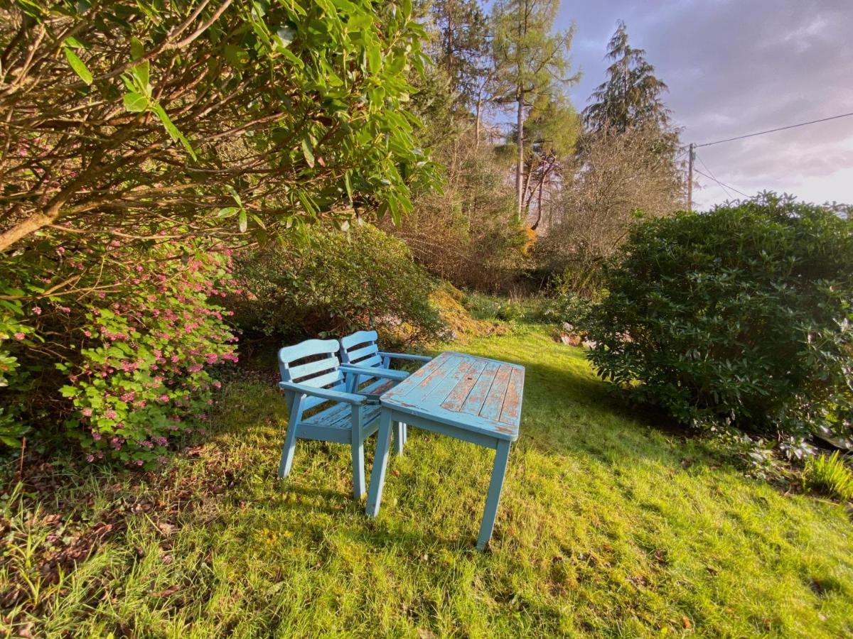 Tyn Y Fron 6 Bedroom House In Betws-Y-Coed Snowdonia المظهر الخارجي الصورة