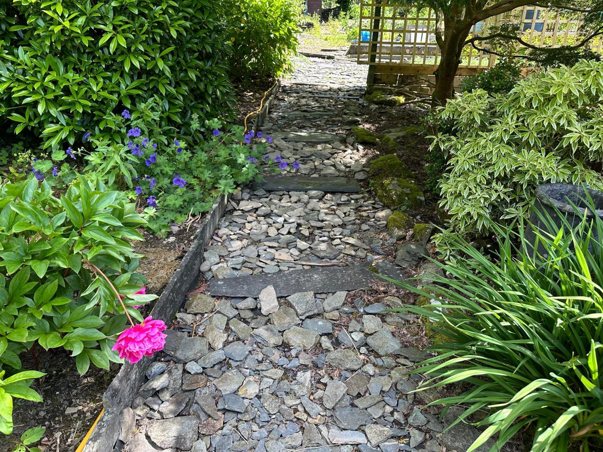 Tyn Y Fron 6 Bedroom House In Betws-Y-Coed Snowdonia المظهر الخارجي الصورة