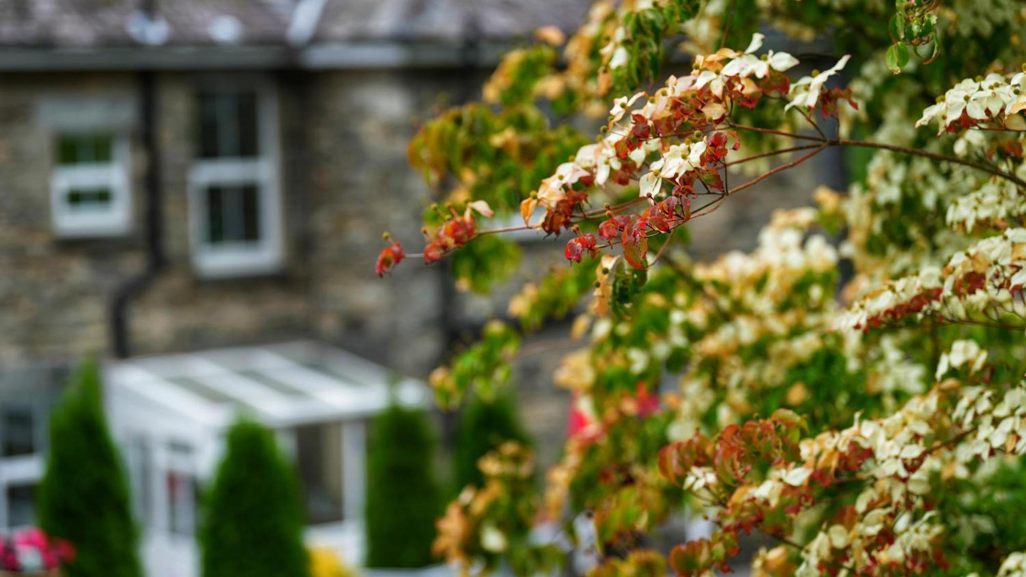 Tyn Y Fron 6 Bedroom House In Betws-Y-Coed Snowdonia المظهر الخارجي الصورة