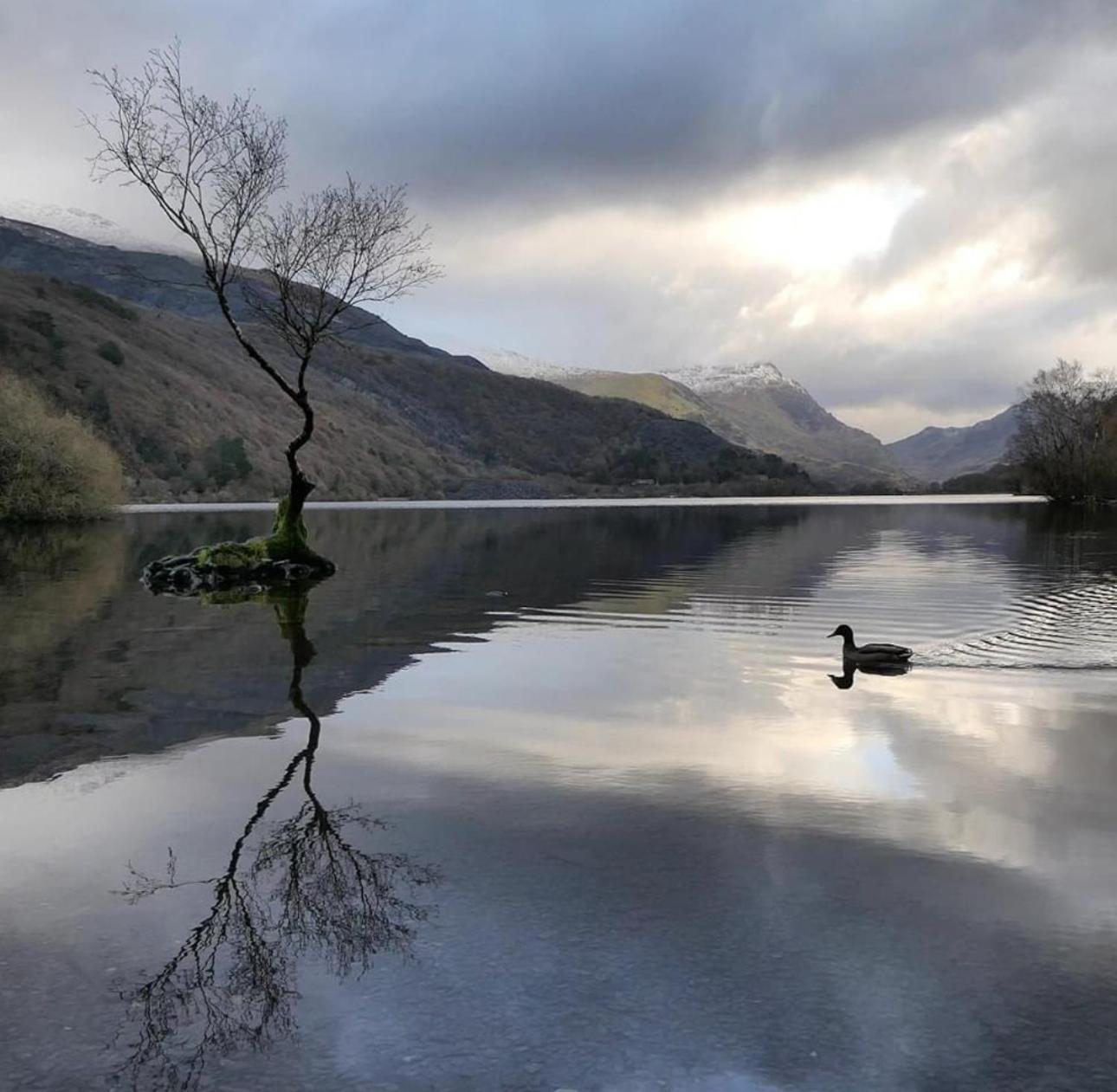 Tyn Y Fron 6 Bedroom House In Betws-Y-Coed Snowdonia المظهر الخارجي الصورة
