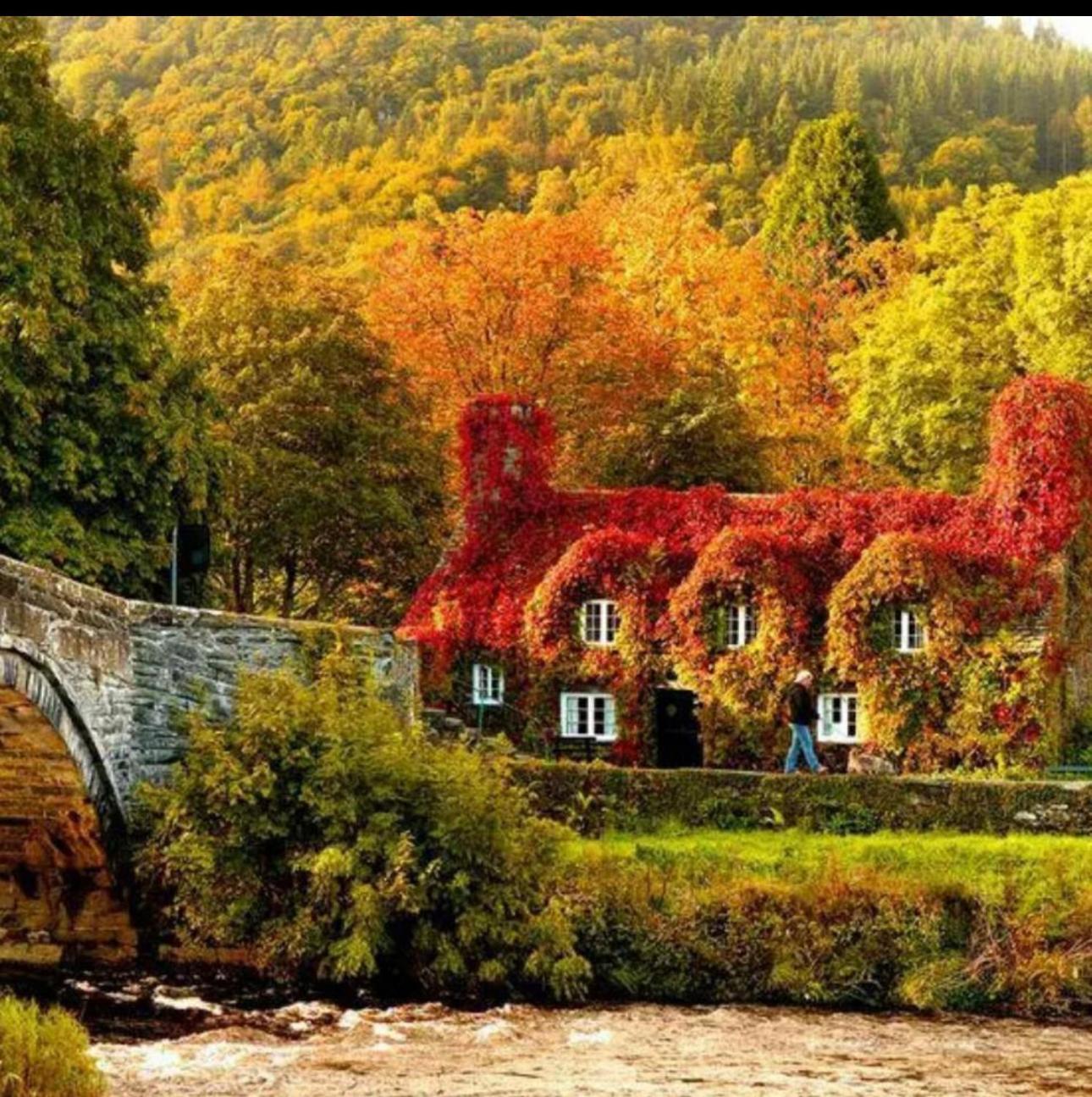 Tyn Y Fron 6 Bedroom House In Betws-Y-Coed Snowdonia المظهر الخارجي الصورة